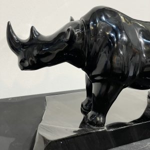 Alternative view of RHINO