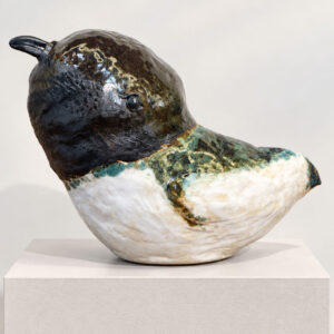 Alternative view of SEABIRD